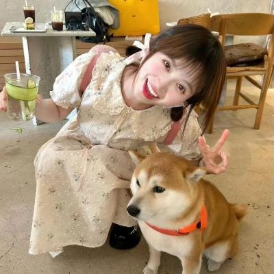 黛安娜的婚礼