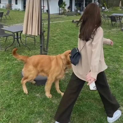 火光之色
